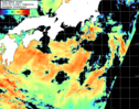 NOAA人工衛星画像:黒潮域, 1日合成画像(2026/08/12UTC)