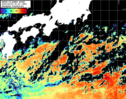 NOAA人工衛星画像:黒潮域, パス=20260829 00:20 UTC