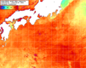 NOAA人工衛星画像:黒潮域, 1週間合成画像(2026/08/24～2026/08/30UTC)