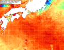 NOAA人工衛星画像:黒潮域, 1週間合成画像(2026/08/26～2026/09/01UTC)