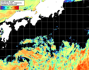 NOAA人工衛星画像:黒潮域, 1日合成画像(2026/09/05UTC)