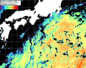 NOAA人工衛星画像:黒潮域, パス=20260907 23:50 UTC