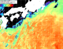 NOAA人工衛星画像:黒潮域, 1日合成画像(2026/09/08UTC)