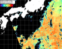 NOAA人工衛星画像:黒潮域, パス=20260914 11:10 UTC