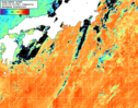 NOAA人工衛星画像:黒潮域, 1日合成画像(2026/09/16UTC)
