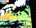 NOAA人工衛星画像:黒潮域, パス=20260925 12:00 UTC