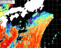 NOAA人工衛星画像:黒潮域, パス=20261005 01:00 UTC