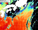 NOAA人工衛星画像:黒潮域, 1日合成画像(2026/10/05UTC)
