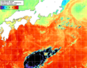 NOAA人工衛星画像:黒潮域, 1日合成画像(2026/10/07UTC)