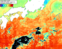 NOAA人工衛星画像:黒潮域, 1日合成画像(2026/10/08UTC)
