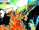 NOAA人工衛星画像:黒潮域, パス=20261010 00:30 UTC