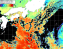 NOAA人工衛星画像:黒潮域, パス=20261010 00:50 UTC