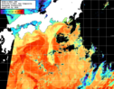 NOAA人工衛星画像:黒潮域, 1日合成画像(2025/04/11UTC)