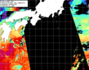 NOAA人工衛星画像:黒潮域, 1日合成画像(2025/04/24UTC)