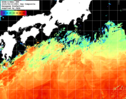 NOAA人工衛星画像:黒潮域, 1日合成画像(2025/06/10UTC)