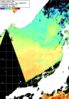 NOAA人工衛星画像:日本海, 1日合成画像(2025/06/11UTC)