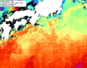 NOAA人工衛星画像:黒潮域, 1週間合成画像(2025/06/06～2025/06/12UTC)
