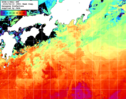 NOAA人工衛星画像:黒潮域, 1週間合成画像(2025/06/09～2025/06/15UTC)