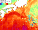 NOAA人工衛星画像:黒潮域, 1週間合成画像(2025/06/13～2025/06/19UTC)