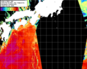 NOAA人工衛星画像:黒潮域, 1日合成画像(2025/06/20UTC)
