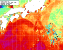 NOAA人工衛星画像:黒潮域, 1週間合成画像(2025/06/14～2025/06/20UTC)