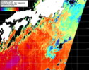 NOAA人工衛星画像:黒潮域, 1日合成画像(2025/06/21UTC)