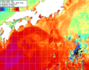 NOAA人工衛星画像:黒潮域, 1週間合成画像(2025/06/15～2025/06/21UTC)