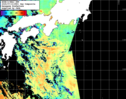 NOAA人工衛星画像:黒潮域, 1日合成画像(2025/07/13UTC)
