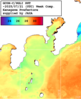 NOAA人工衛星画像:沿岸～伊豆諸島, 1週間合成画像(2025/07/15～2025/07/21UTC)