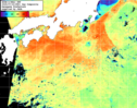 NOAA人工衛星画像:黒潮域, 1日合成画像(2025/07/22UTC)