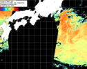 NOAA人工衛星画像:黒潮域, 1日合成画像(2025/07/27UTC)