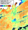 NOAA人工衛星画像:神奈川県近海, パス=20250729 01:31 UTC