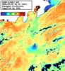 NOAA人工衛星画像:神奈川県近海, パス=20250729 01:35 UTC