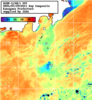 NOAA人工衛星画像:神奈川県近海, 1日合成画像(2025/07/29UTC)
