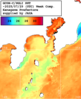 NOAA人工衛星画像:沿岸～伊豆諸島, 1週間合成画像(2025/07/23～2025/07/29UTC)