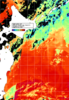 NOAA人工衛星画像:親潮域, 1日合成画像(2025/07/31UTC)