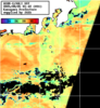 NOAA人工衛星画像:神奈川県近海, パス=20250805 01:42 UTC