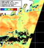NOAA人工衛星画像:神奈川県近海, パス=20250805 01:45 UTC