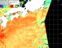 NOAA人工衛星画像:黒潮域, 1日合成画像(2025/08/05UTC)