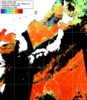 NOAA人工衛星画像:日本全域, 1日合成画像(2025/08/10UTC)