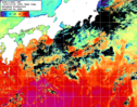 NOAA人工衛星画像:黒潮域, 1週間合成画像(2025/10/20～2025/10/26UTC)