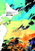 NOAA人工衛星画像:親潮域, 1日合成画像(2025/11/05UTC)