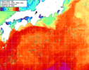 NOAA人工衛星画像:黒潮域, 1週間合成画像(2026/01/04～2026/01/10UTC)