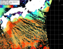 NOAA人工衛星画像:黒潮域, 1日合成画像(2026/01/22UTC)