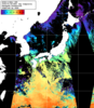 NOAA人工衛星画像:日本全域, 1日合成画像(2026/01/26UTC)