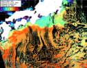NOAA人工衛星画像:黒潮域, パス=20260203 12:47 UTC