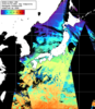 NOAA人工衛星画像:日本全域, 1日合成画像(2026/03/01UTC)