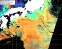 NOAA人工衛星画像:黒潮域, パス=20260305 01:33 UTC