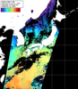 NOAA人工衛星画像:日本全域, パス=20260312 01:51 UTC
