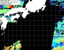 NOAA人工衛星画像:黒潮域, 1日合成画像(2026/06/06UTC)